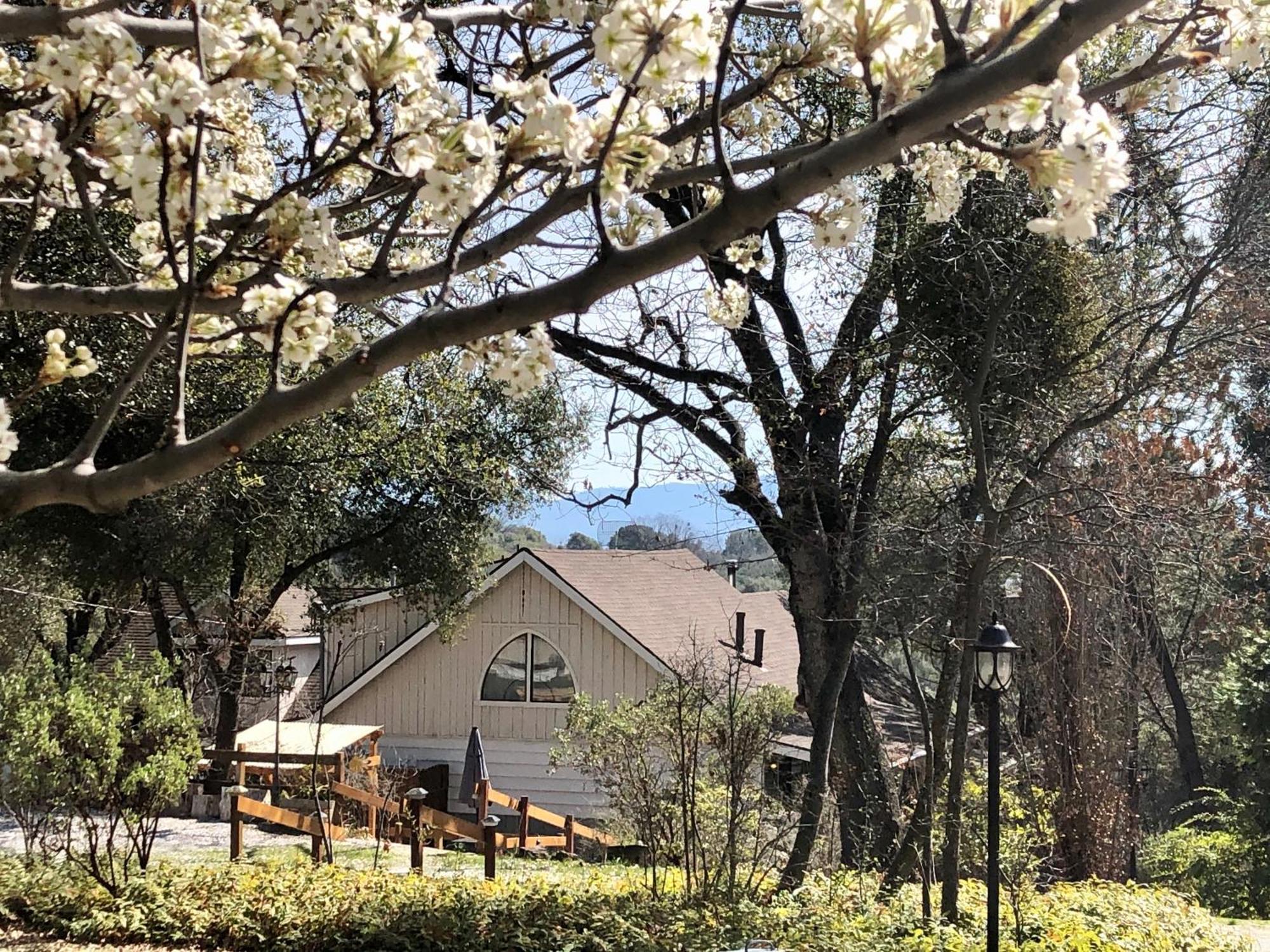 Sierra Mountain Lodge - Vacation Rentals - Yosemite Ahwahnee Εξωτερικό φωτογραφία